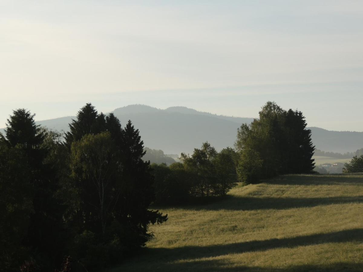 Fw Zauberblick Apartment Zwiesel Bagian luar foto