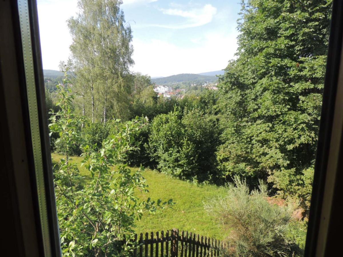 Fw Zauberblick Apartment Zwiesel Bagian luar foto