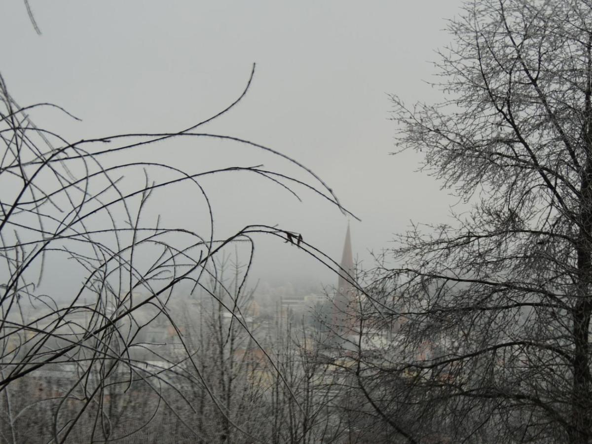 Fw Zauberblick Apartment Zwiesel Bagian luar foto