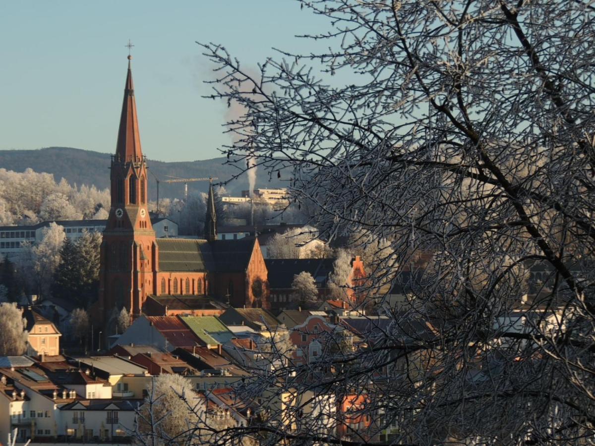 Fw Zauberblick Apartment Zwiesel Bagian luar foto