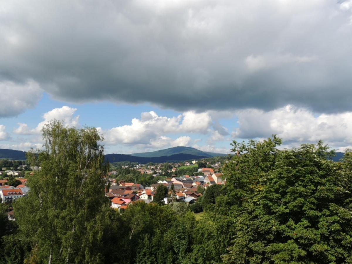 Fw Zauberblick Apartment Zwiesel Bagian luar foto