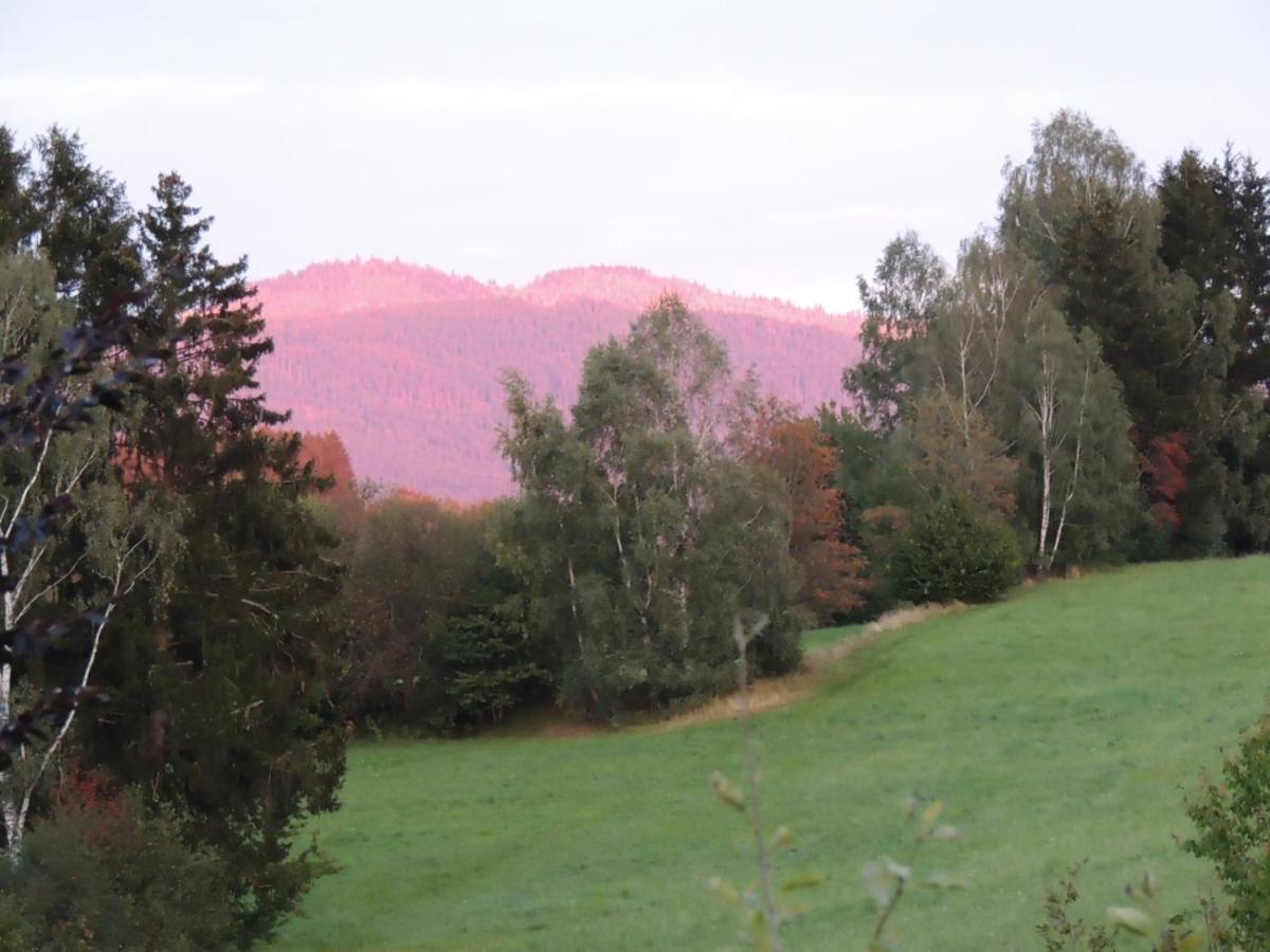Fw Zauberblick Apartment Zwiesel Bagian luar foto