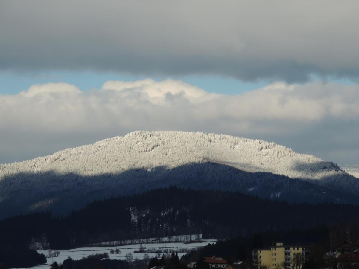 Fw Zauberblick Apartment Zwiesel Bagian luar foto