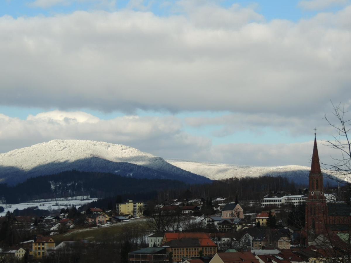 Fw Zauberblick Apartment Zwiesel Bagian luar foto