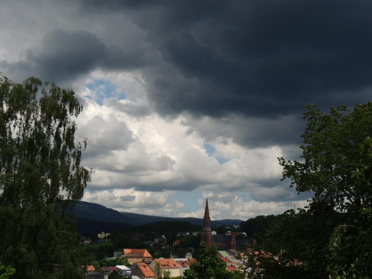 Fw Zauberblick Apartment Zwiesel Bagian luar foto