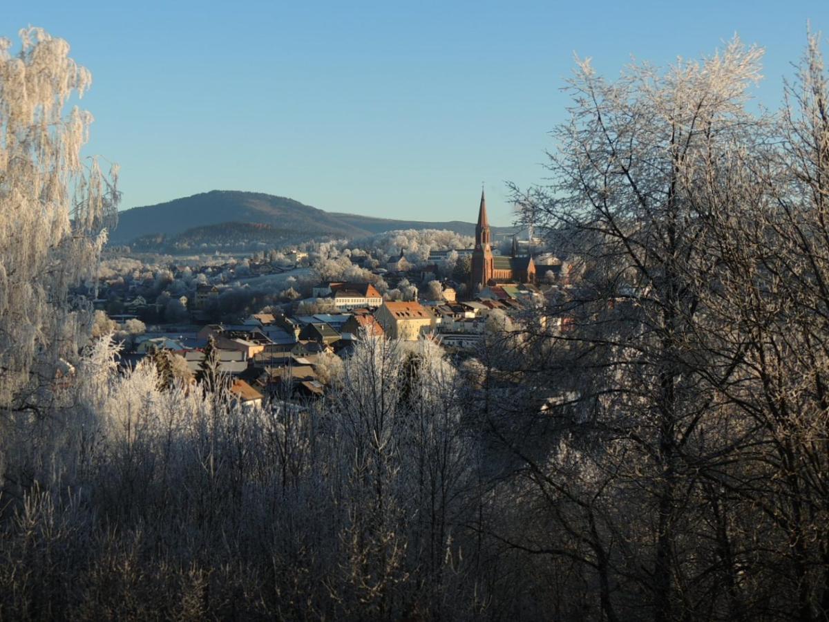 Fw Zauberblick Apartment Zwiesel Bagian luar foto