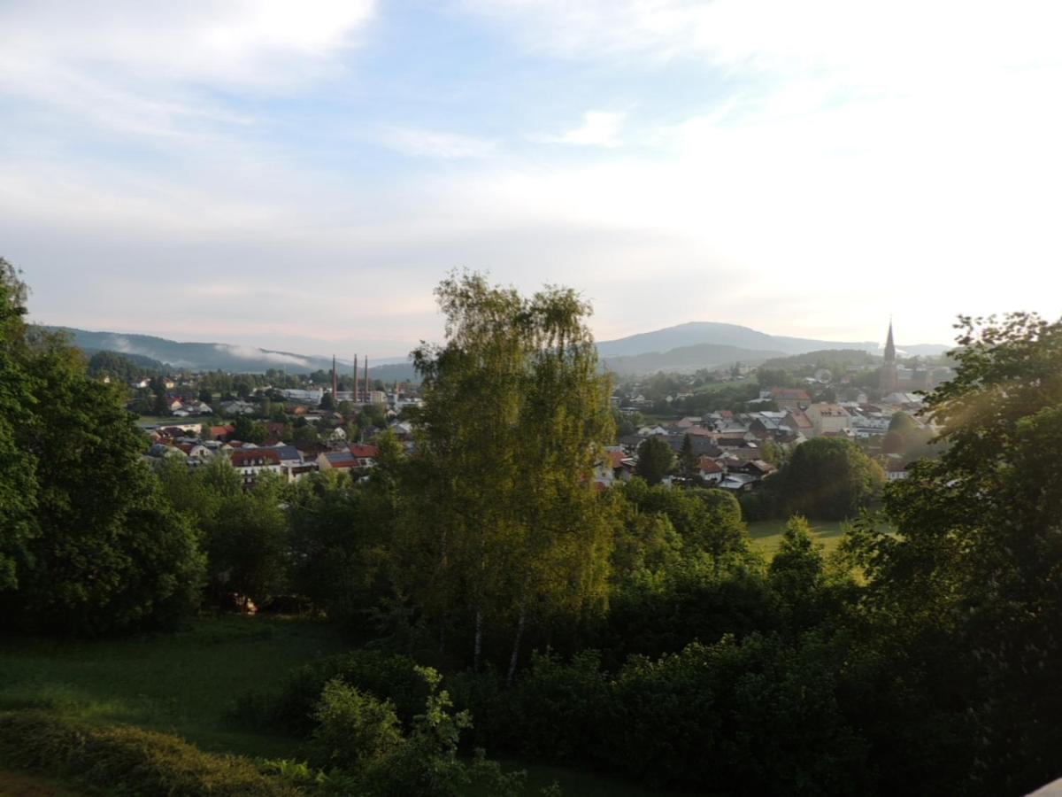 Fw Zauberblick Apartment Zwiesel Bagian luar foto